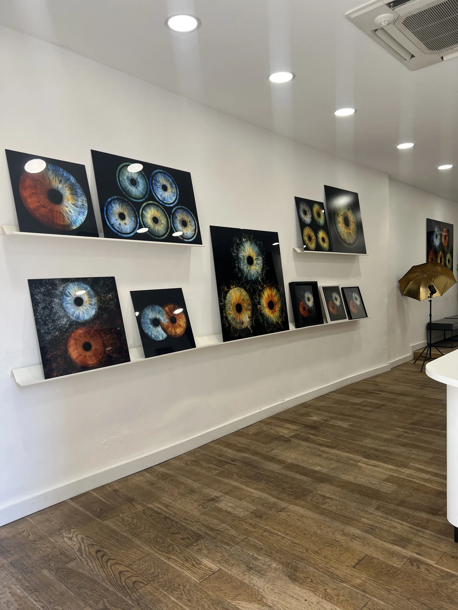 Iris Galerie - Photo 2
