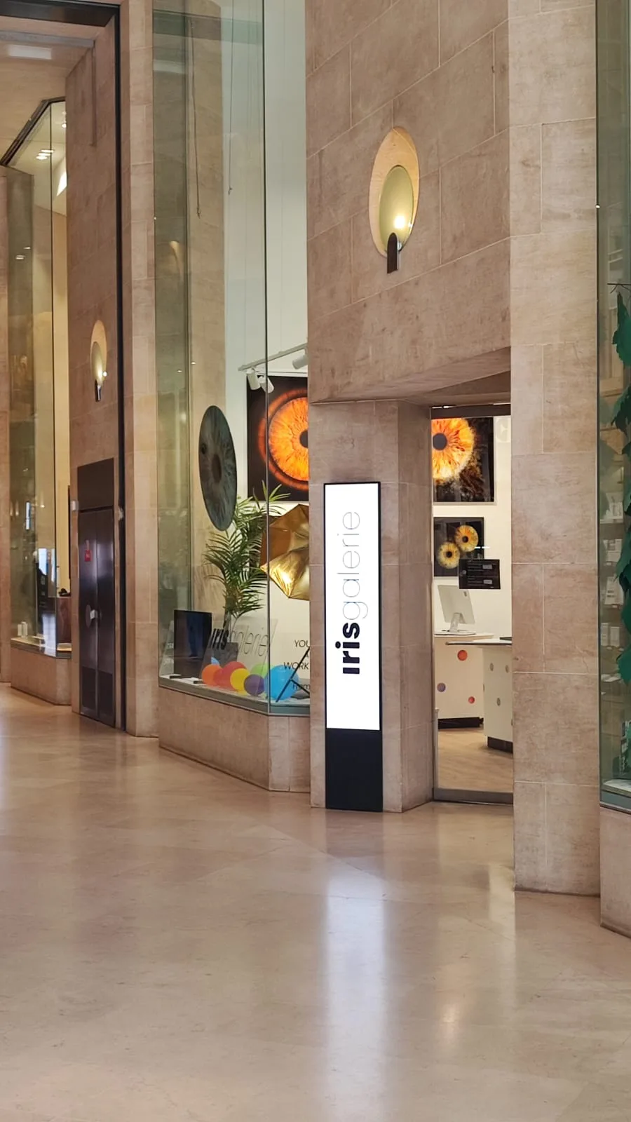Iris Galerie - Photo 2
